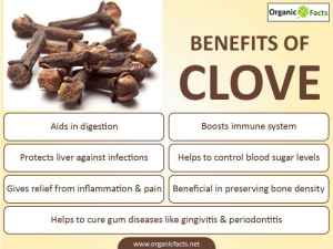 clove blood sugar, liver, bone density, inflammation, infection digestion, gum disease